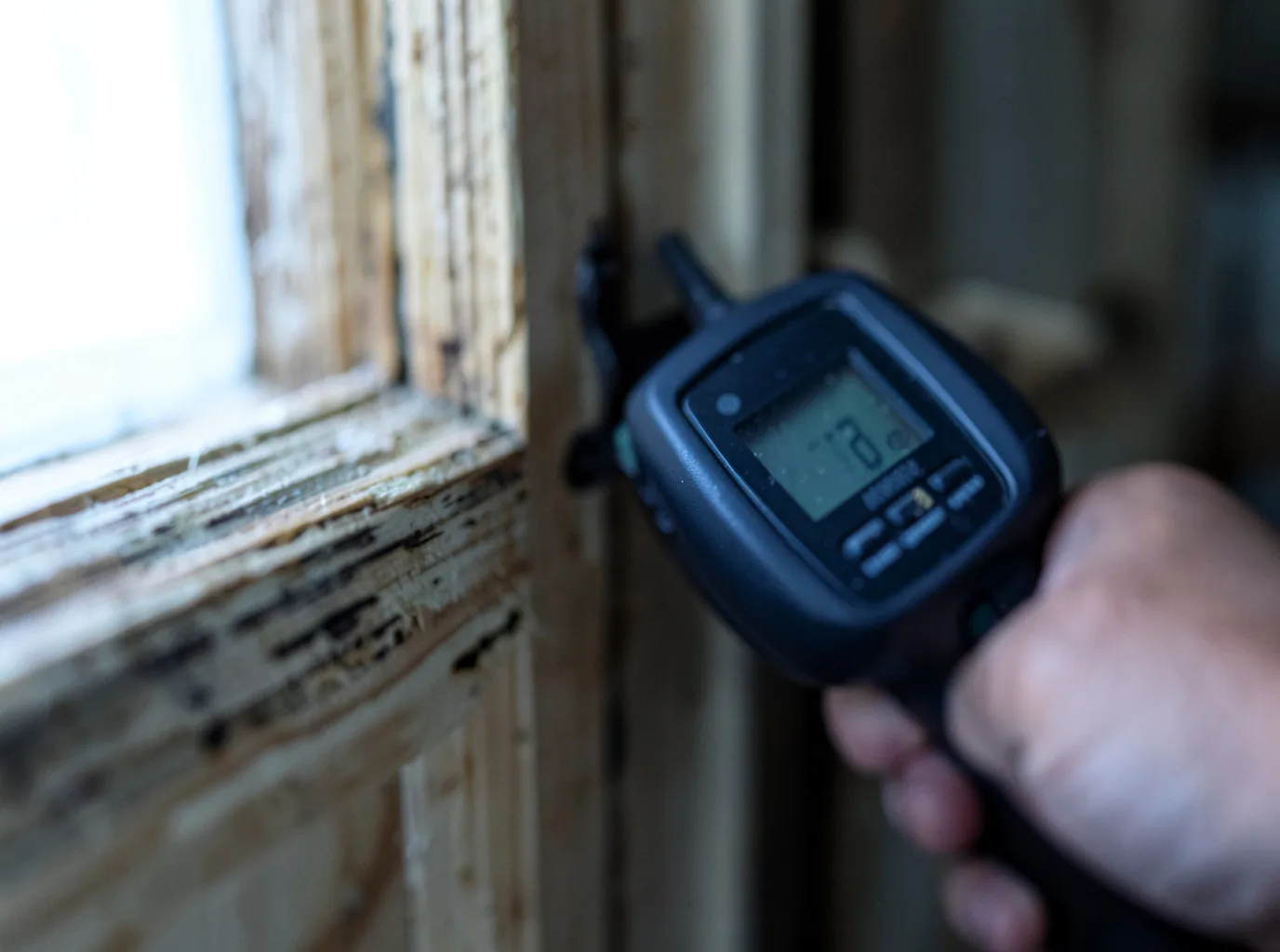 Water Damage Restoration Ionia, MI FAQs